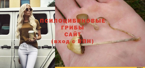 бошки Мегион