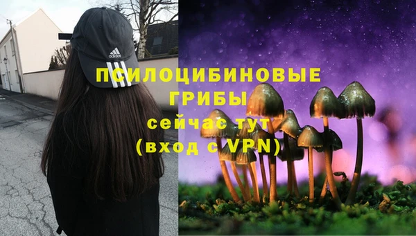 MESCALINE Магадан