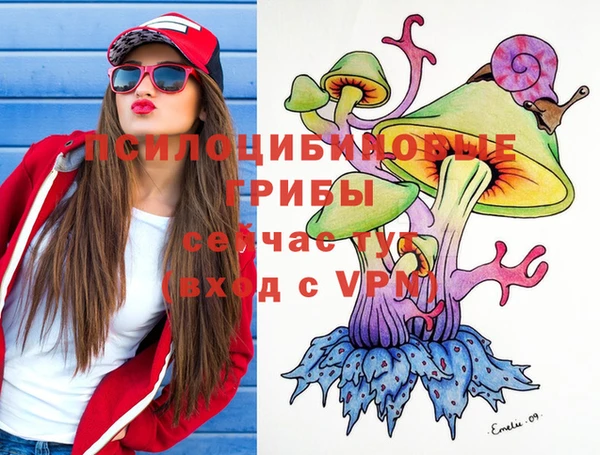 бошки Мегион