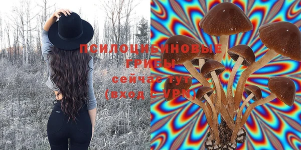 бошки Мегион