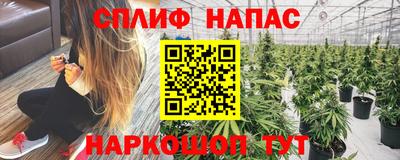 метадон Берёзовский