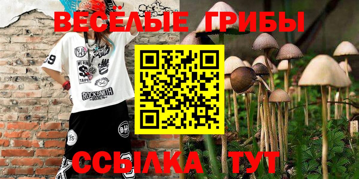 Псилоцибиновые грибы Psilocybe Кинель