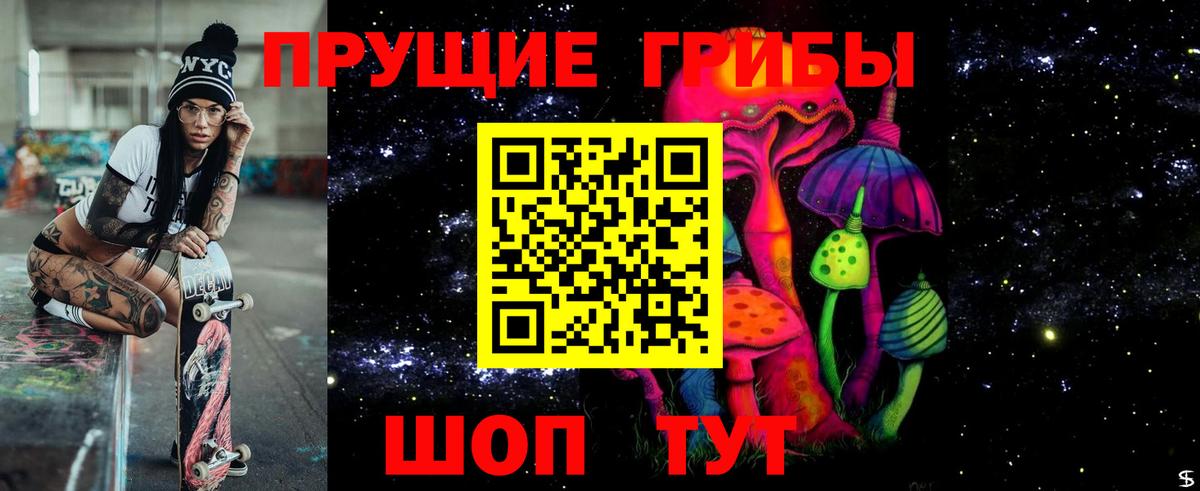 Галлюциногенные грибы Psilocybe  где купить наркотик  Галлюциногенные грибы Psilocybine cubensis  Кинель  Вход с VPN 