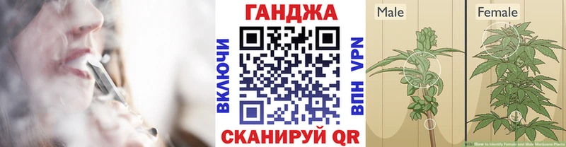 где можно купить   Кинель  МАРИХУАНА THC 21% 